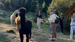 495154621_1265090458954124_3263484089239633063_n