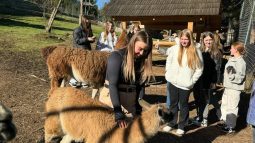 photo_5229011125855708970_y