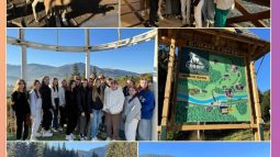 photo_5229011125855708980_y